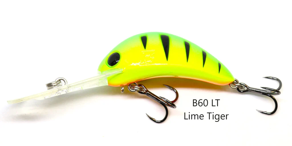 Barambah B60 Diver Hardbody - Image 4