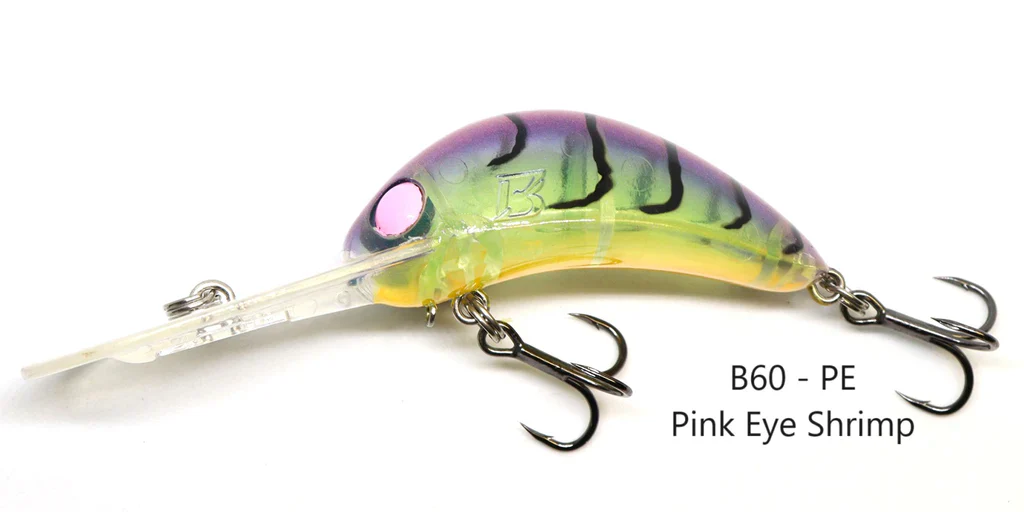 Barambah B60 Diver Hardbody - Image 7