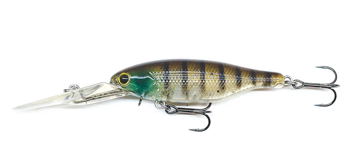 Barambah Boondi Bros 62 DSS