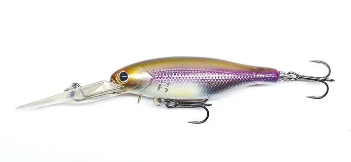 Barambah Boondi Bros 62 DSS - Image 11