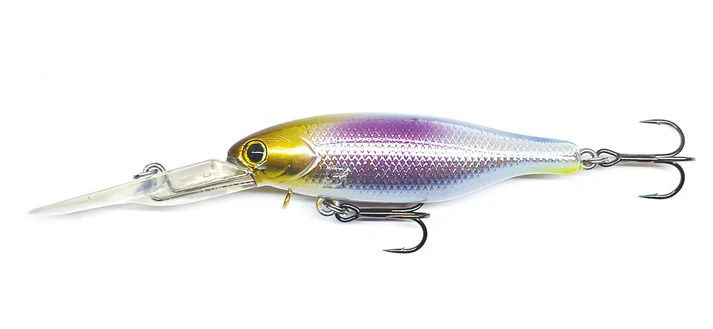 Barambah Boondi Bros 62 DSS - Image 12