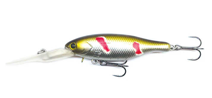 Barambah Boondi Bros 62 DSS - Image 13