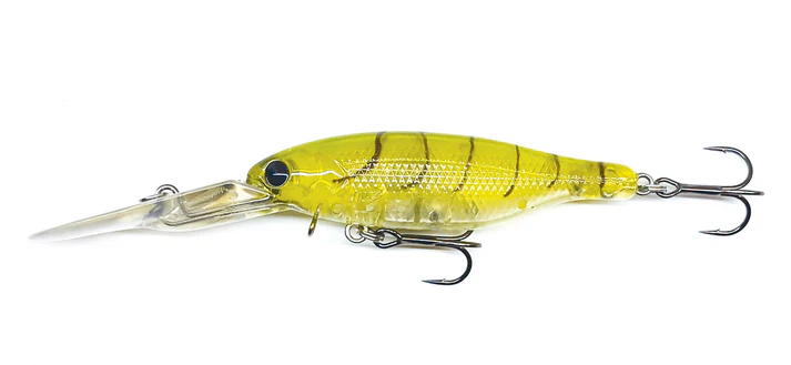 Barambah Boondi Bros 62 DSS - Image 3