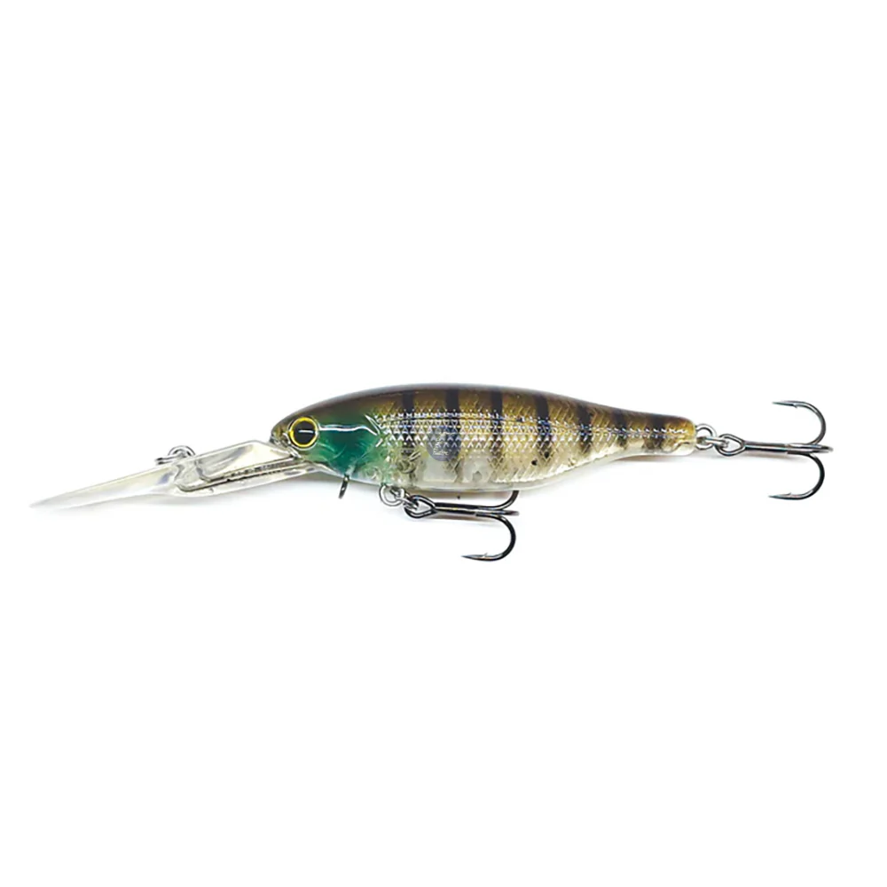 Barambah Boondi Bros 62 DSS - Image 4