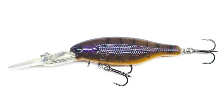 Barambah Boondi Bros 62 DSS - Image 5