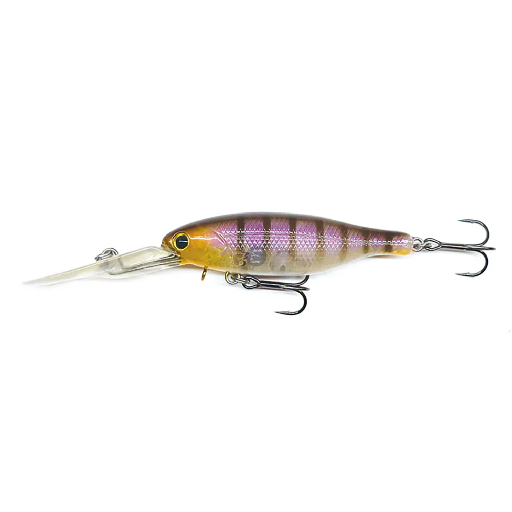 Barambah Boondi Bros 62 DSS - Image 6