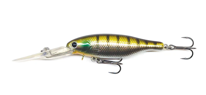 Barambah Boondi Bros 62 DSS - Image 8
