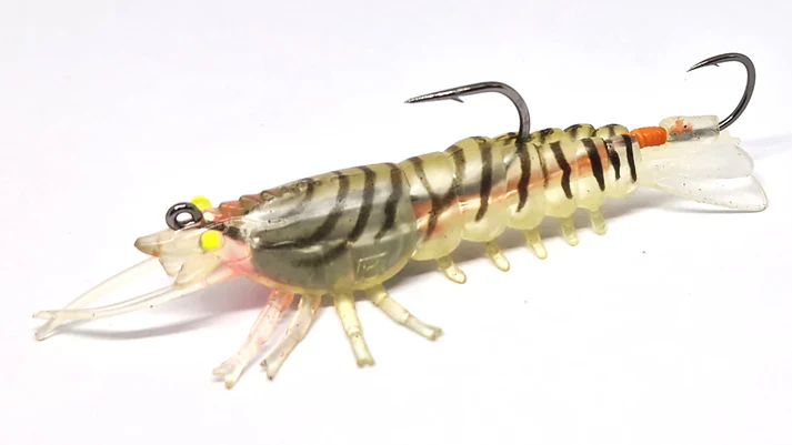 Barambah Stinger Shrimp 55F - Image 4