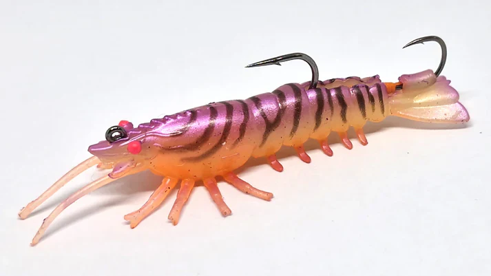 Barambah Stinger Shrimp 90F - Image 6