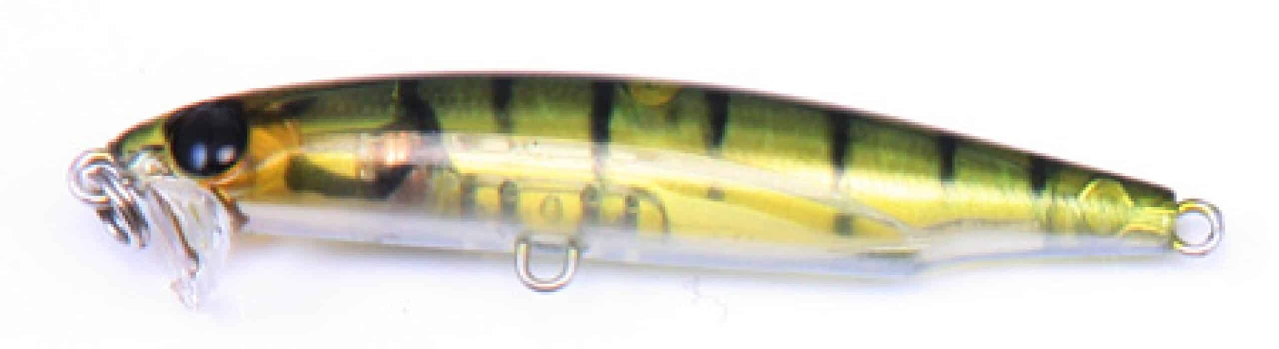 Bassday Beat Eat 47mm - Image 6