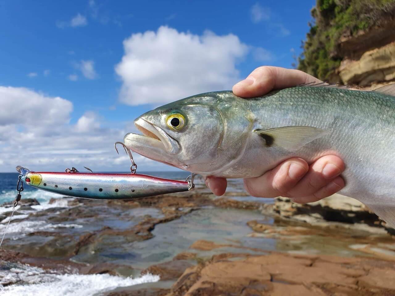 Bassday Logs 140S Sinking Lure - Image 3