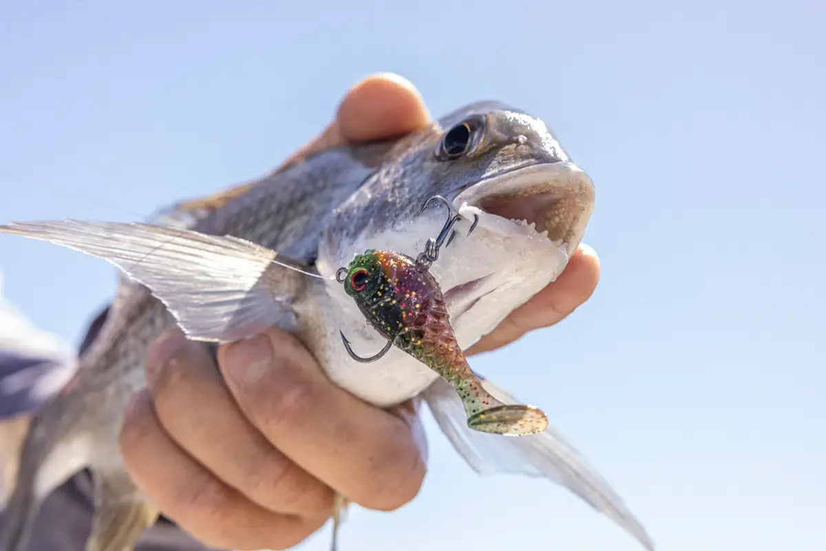Berkley HoneyBall 90mm Rigged Soft Plastics - Image 9