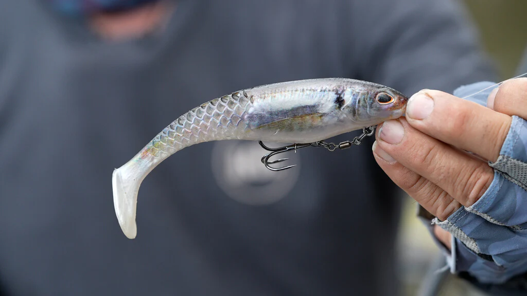 Berkley Powerbait Cullshad 8in Swimbait - Image 6