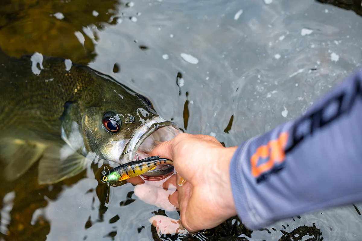 Berkley PowerBait Drip Swimmer 5in Lure - Image 2