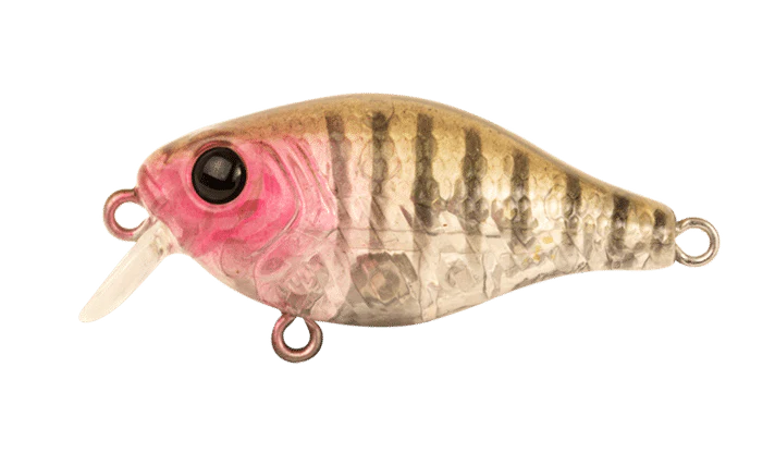 Berkley Pro-Tech Brimz 38mm Shallow Crank Lure - Image 8