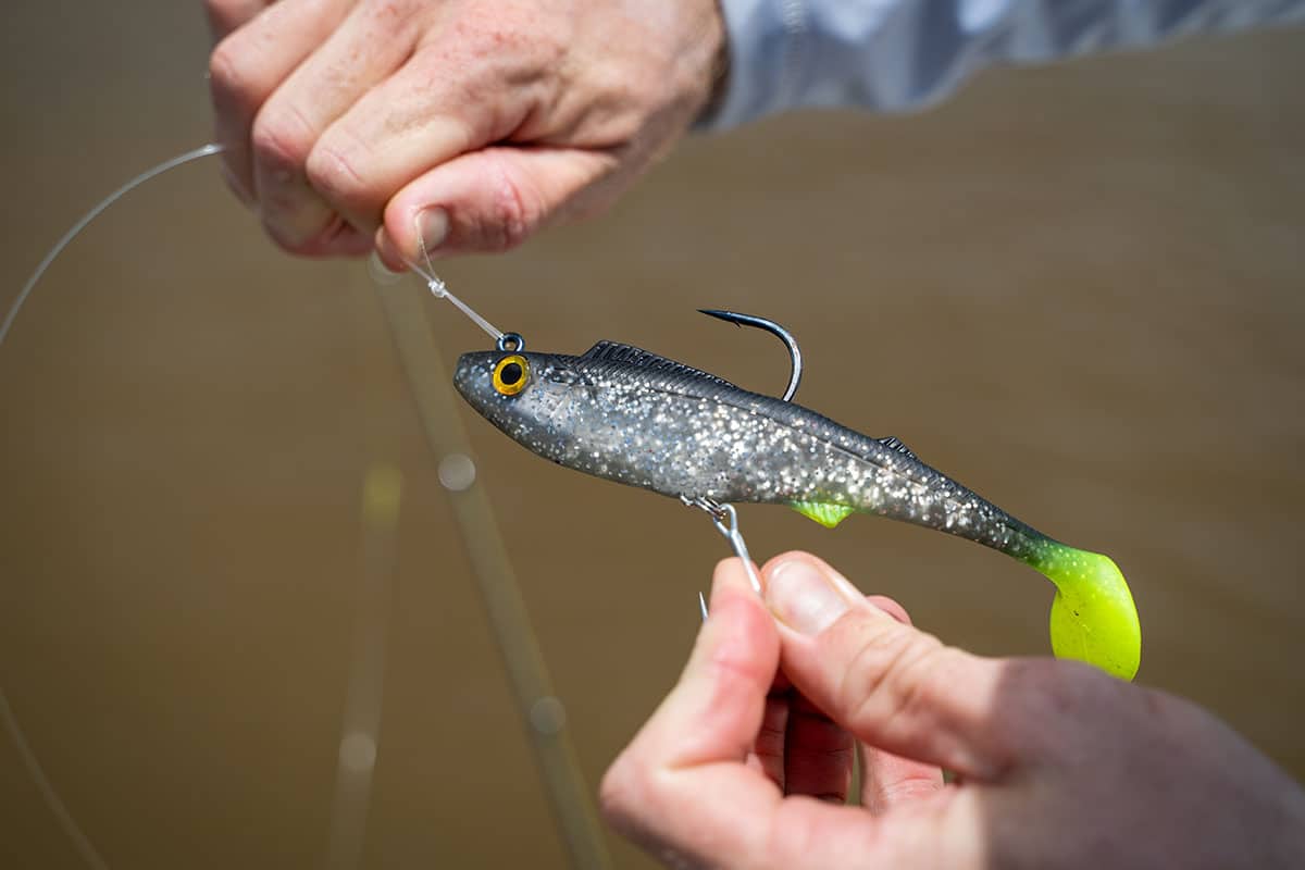 Berkley Shimma Pro Rig 6.5in Rigged Plastic - Image 2