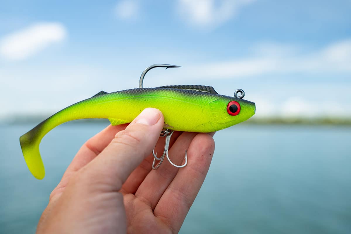 Berkley Shimma Pro Rig 6.5in Rigged Plastic - Image 3