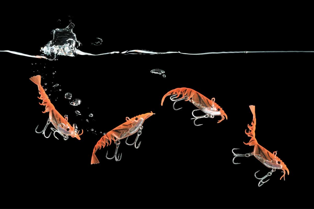 Berkley Shimma Shrimp 150mm - Image 3