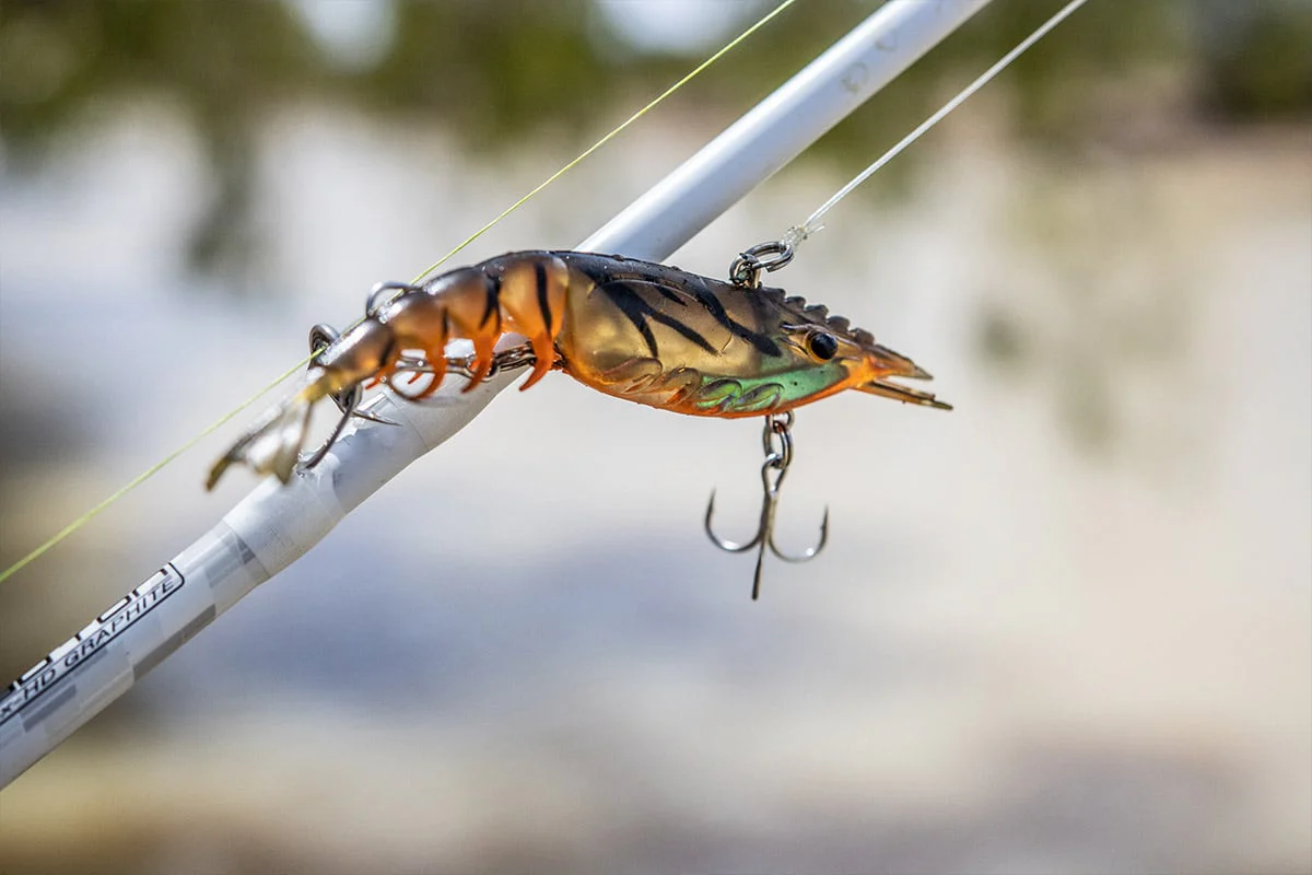 Berkley Shimma Shrimp 85mm - Image 2