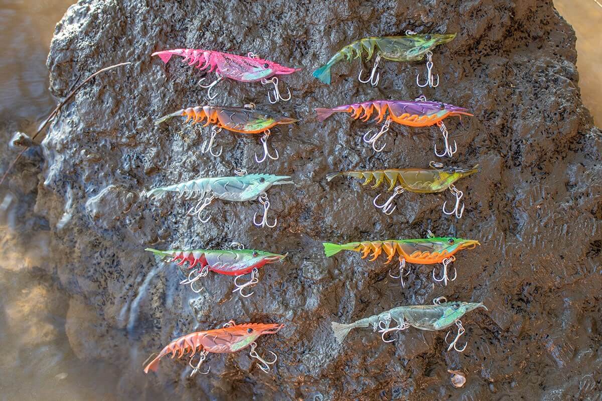 Berkley Shimma Shrimp 85mm - Image 6