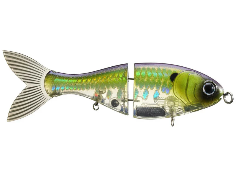 Bucca Trick Shad 6in Lure - Image 3