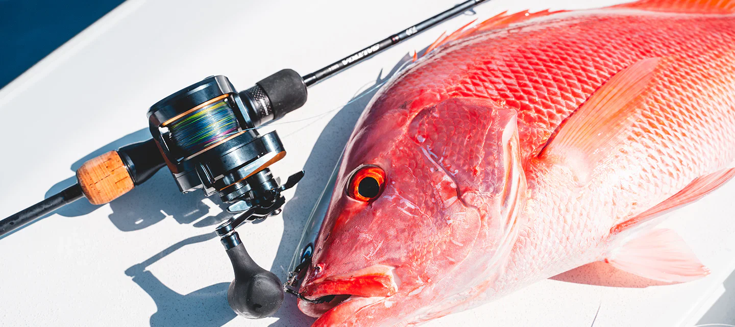 Daiwa 25 Saltiga 10H - Image 3