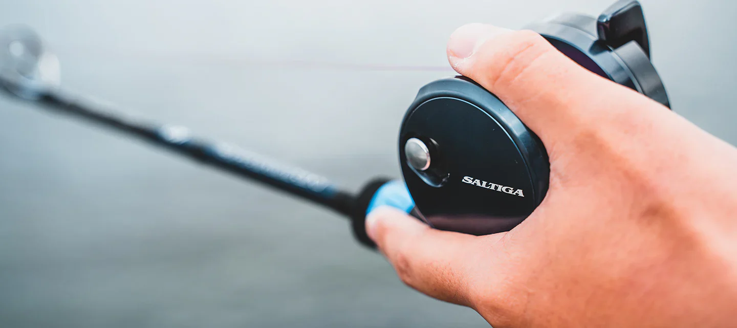 Daiwa 25 Saltiga 10H - Image 8