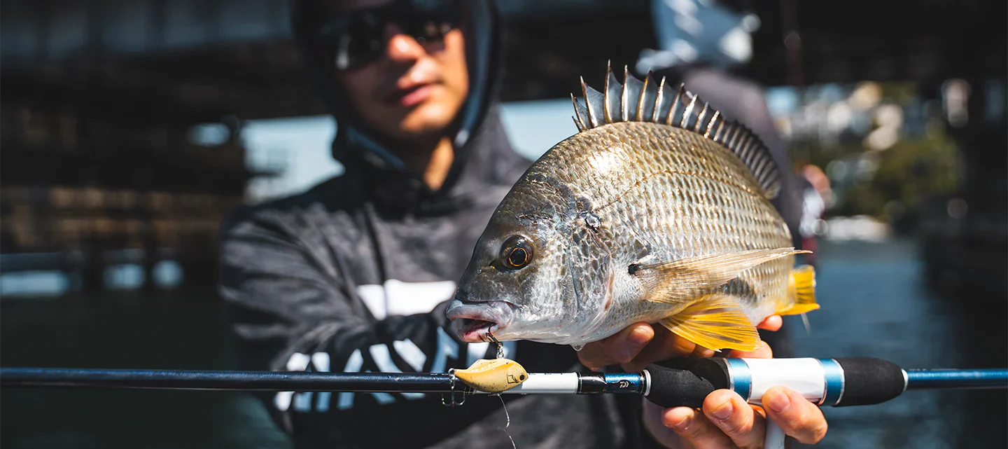 Daiwa Infeet Reflex 38s Lure - Image 10