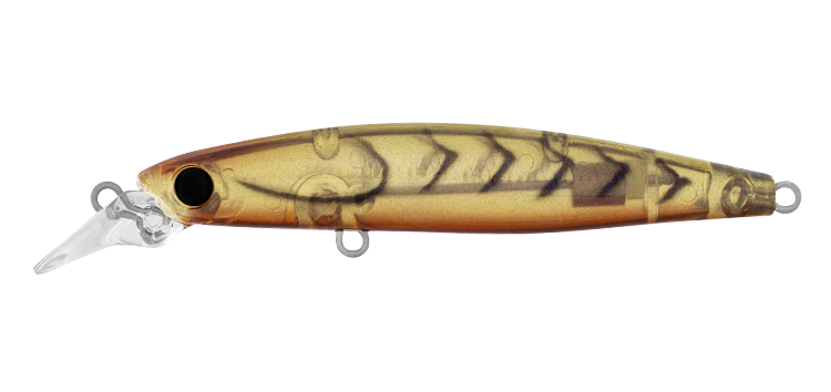 Daiwa Infeet Sazanami 60SP Lure - Image 7