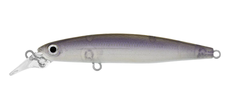 Daiwa Infeet Sazanami 60SP Lure - Image 9