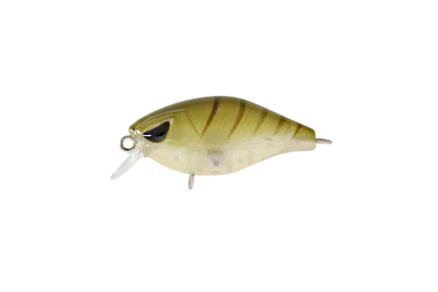 Hurricane Fat 37mm Shallow - Image 5