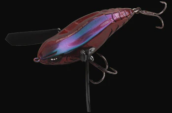Imakatsu Aventa Crawler 2017 - Image 5
