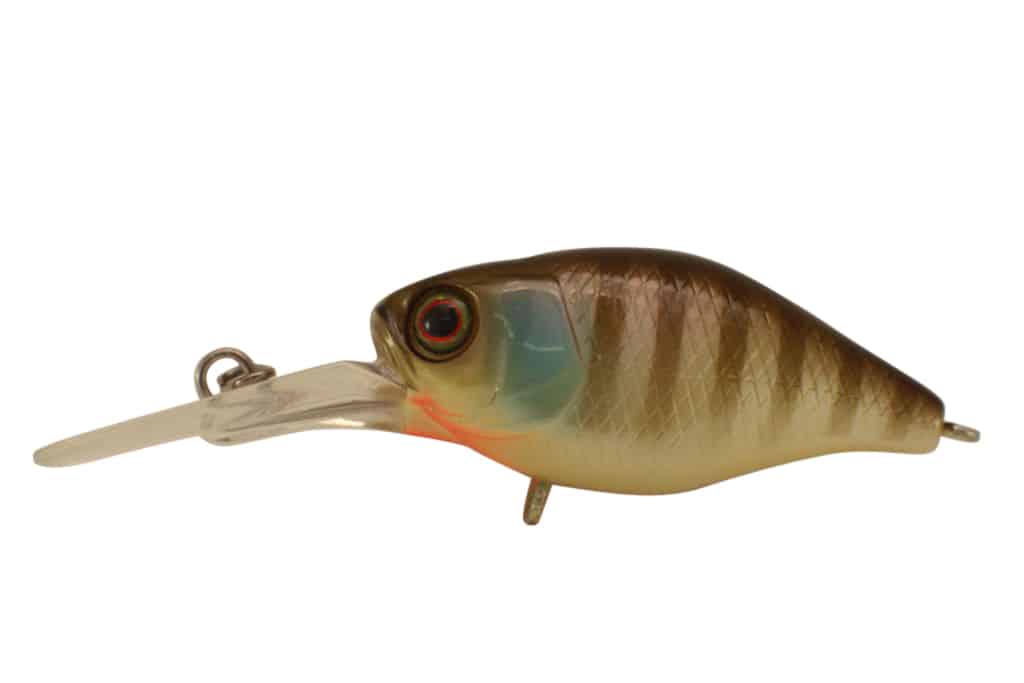 Jackall Chubby 38F Deep - Image 12