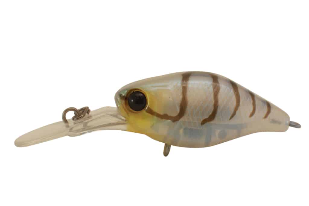 Jackall Chubby 38F Deep - Image 16