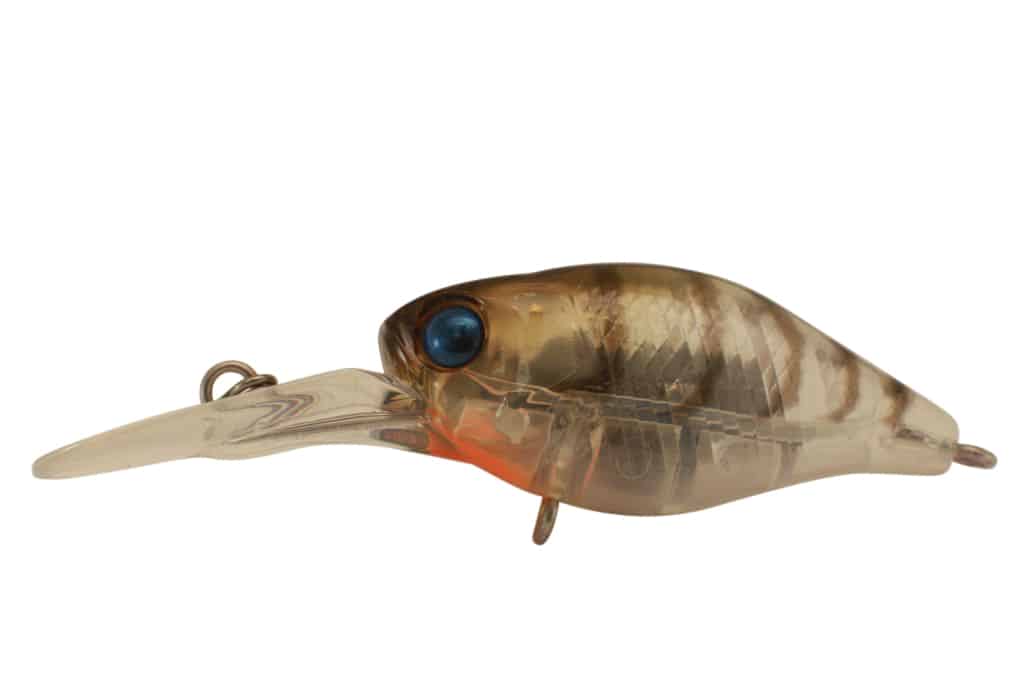 Jackall Chubby 38F Deep - Image 8