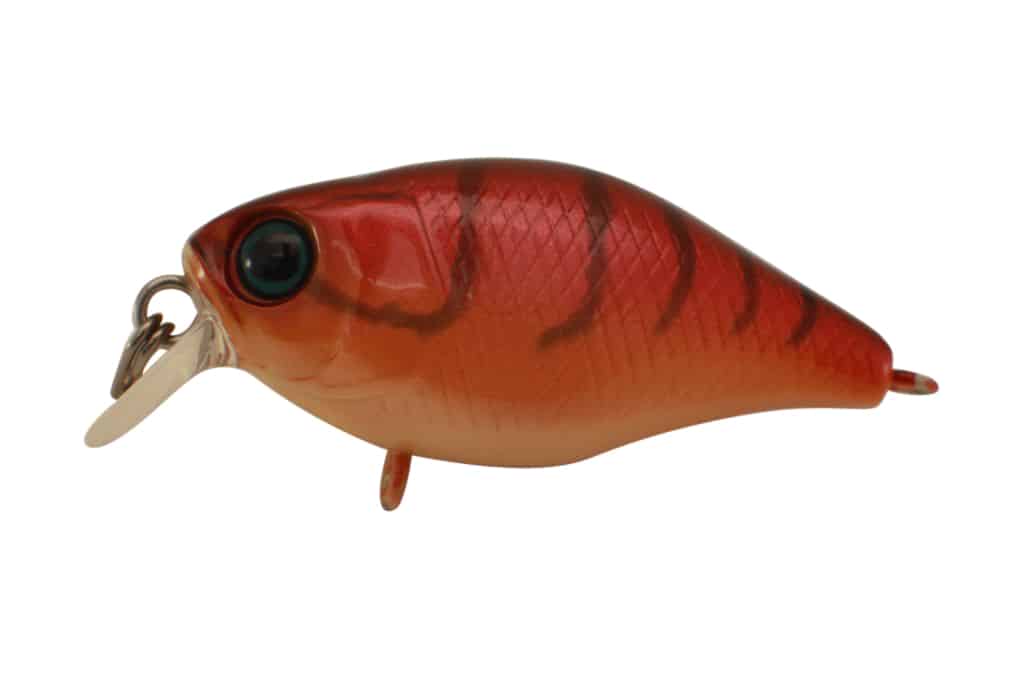 Jackall Chubby 38F Shallow - Image 4