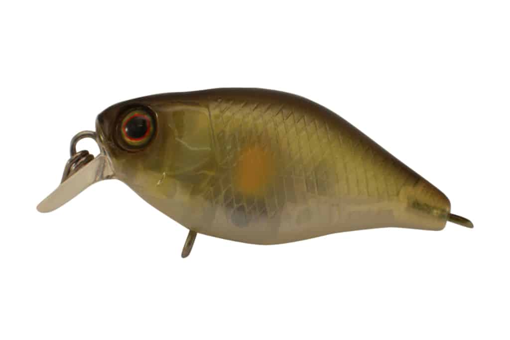 Jackall Chubby 38F Shallow - Image 5