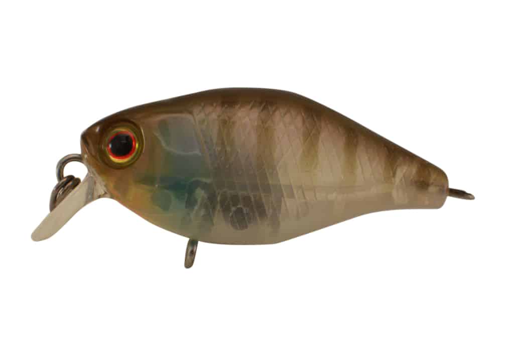 Jackall Chubby 38F Shallow - Image 6