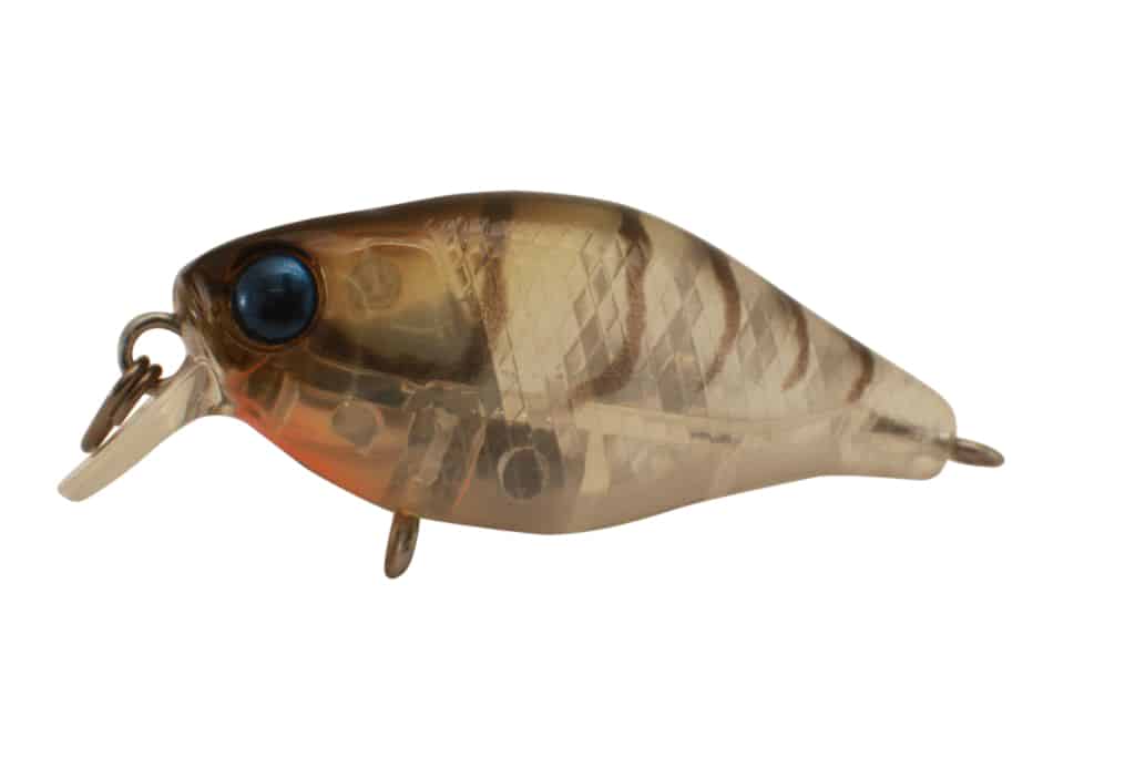 Jackall Chubby 38F Shallow - Image 7