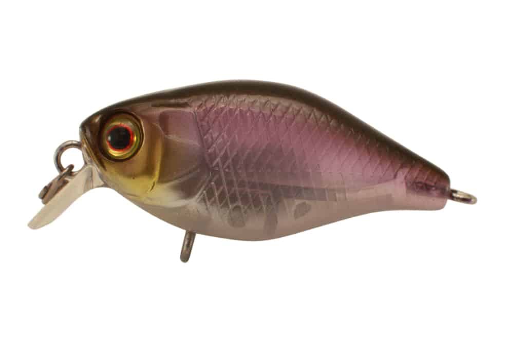 Jackall Chubby 38F Shallow - Image 8
