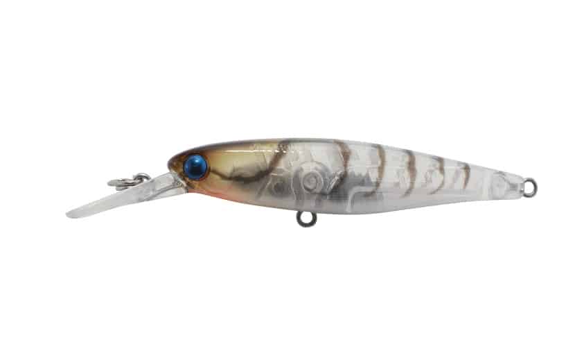 Jackall Squirrel 61SP Diver - Image 5