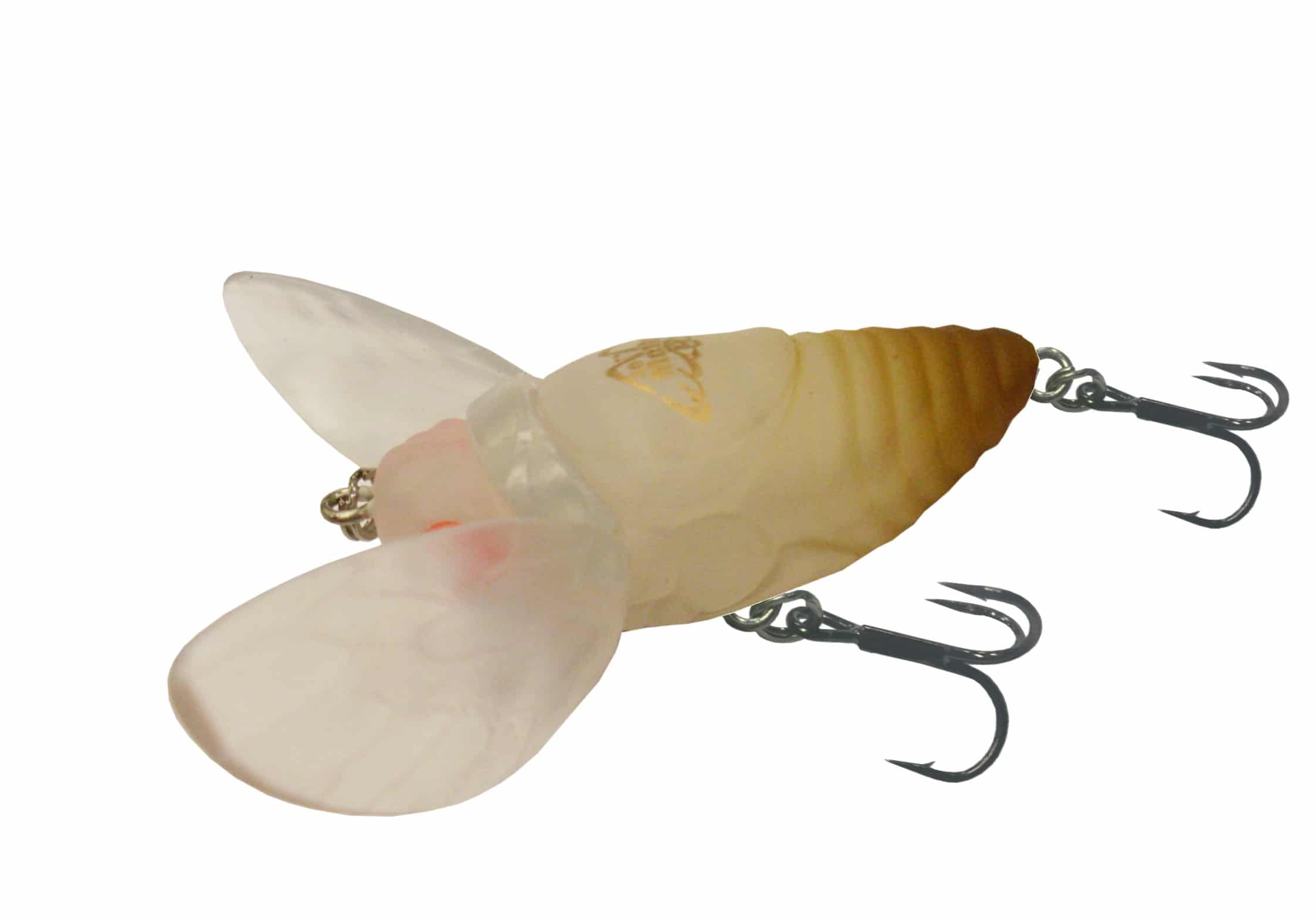 JM Gillies Warlock Moth 40mm - Image 3