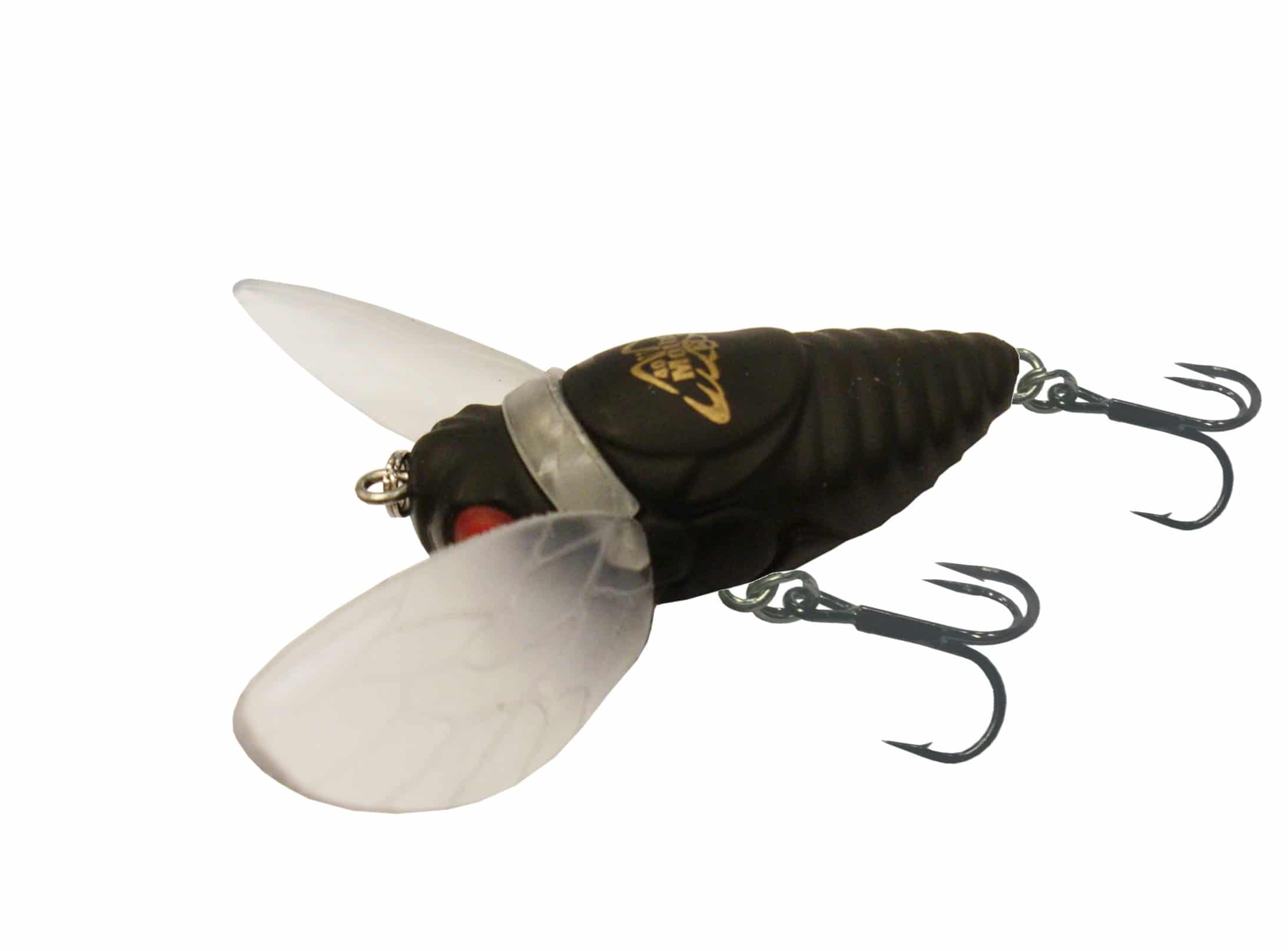 JM Gillies Warlock Moth 40mm - Image 4