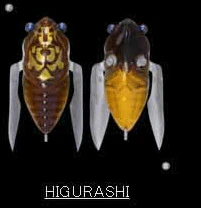 Megabass Siglett 36.5mm Cicada - Image 7