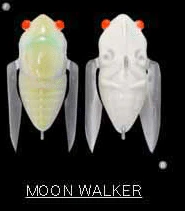 Megabass Siglett 36.5mm Cicada - Image 9