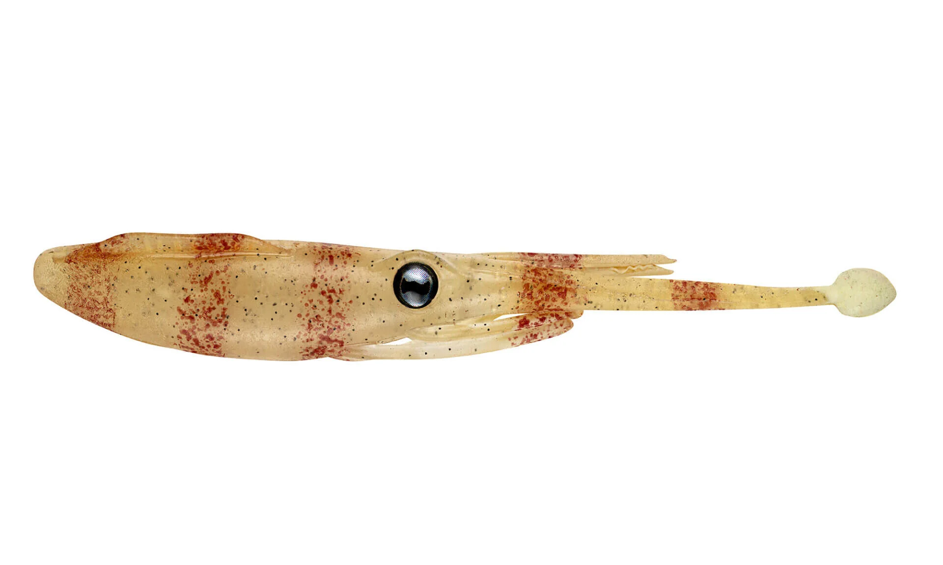 Nomad Live Ops Jerksquid 3.25in Soft Plastic - Image 4