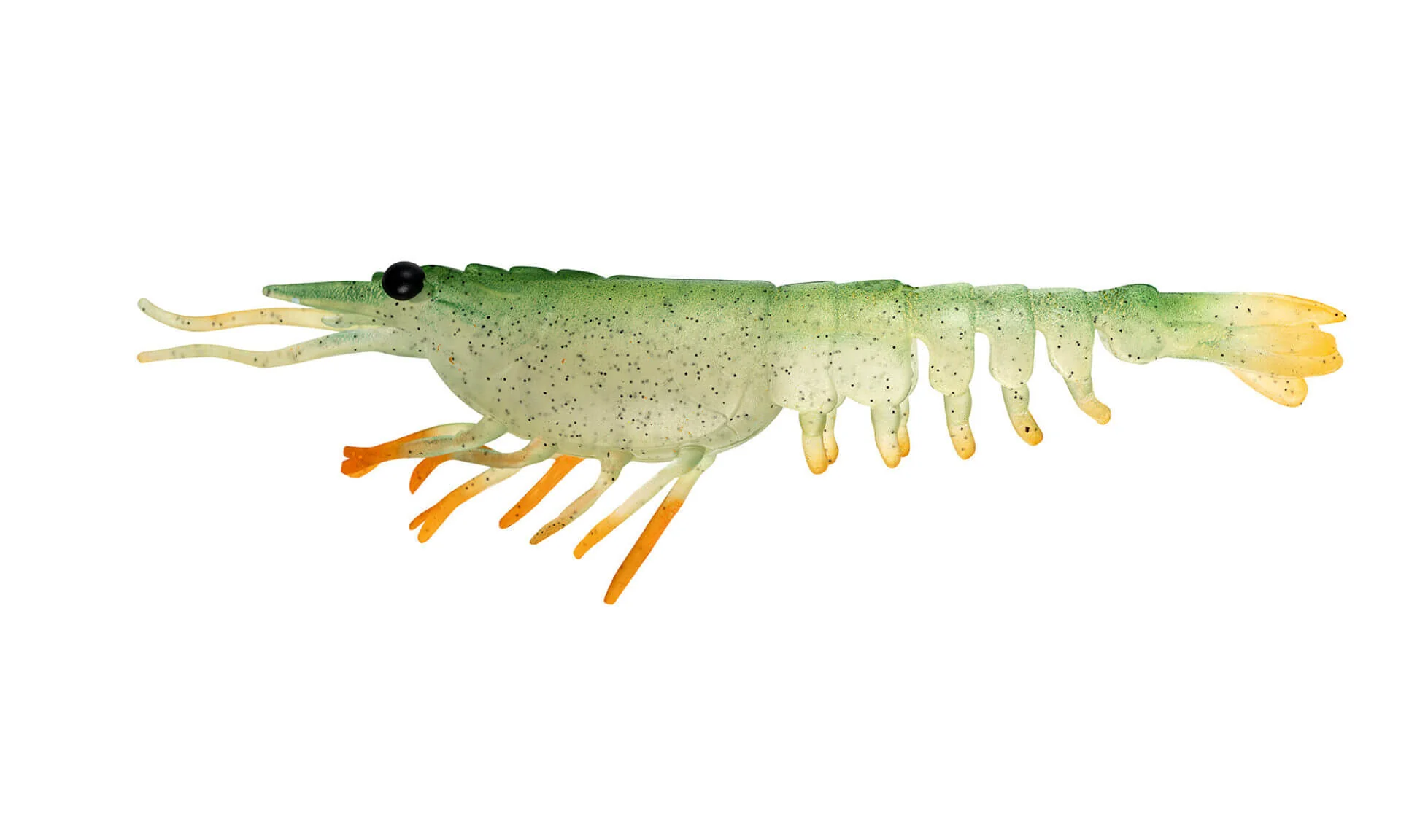 Nomad Live Ops Switcher Shrimp 3.5in Soft Plastic - Image 7