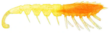 Rapala Crush City The Imposter 4.5in Plastics - Image 3