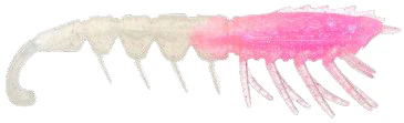 Rapala Crush City The Imposter 4.5in Plastics - Image 9