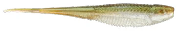 Rapala Crush City The Jerk 7in Plastics - Image 3